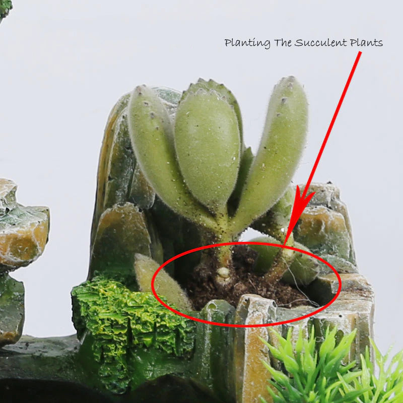 Mist of Bonsai