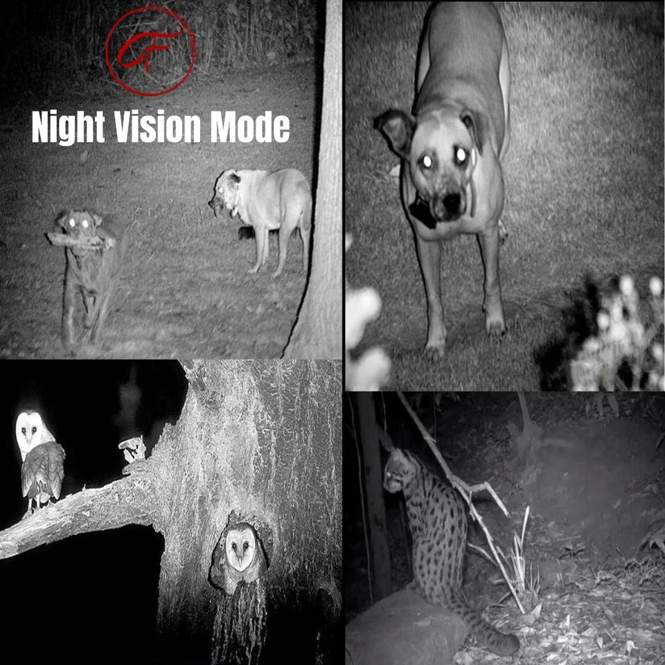 Omnicular Night Vision Camera