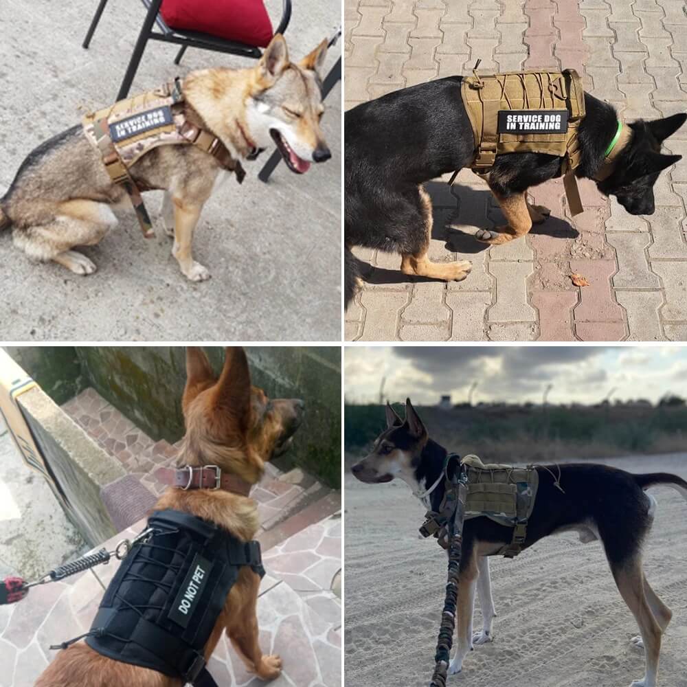 Molle Modular Pet Harness