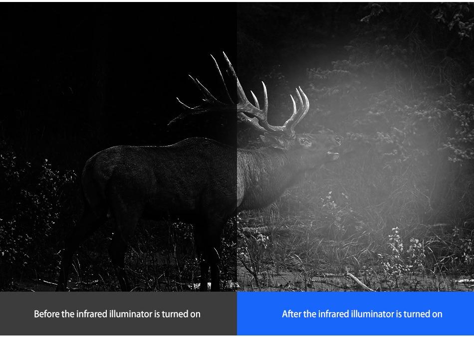 Apex Vision Scope®